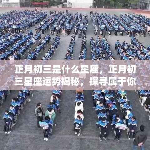 正月初三星座运势揭秘,探寻属于你的星座轨迹与星辰运势