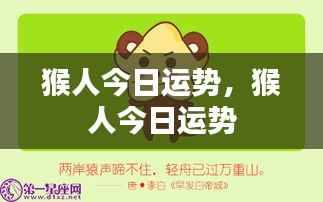 猴人今日运势详解