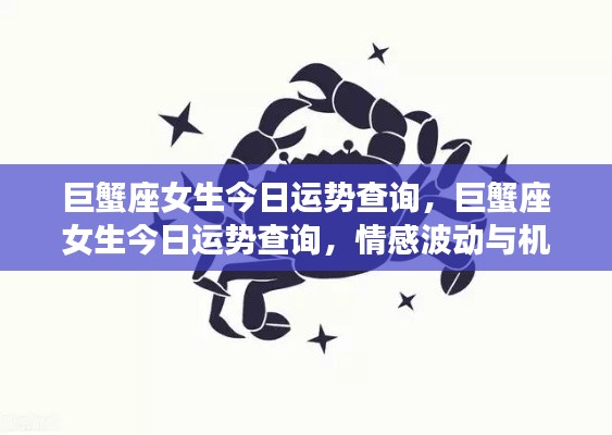 巨蟹座女生今日运势揭秘,情感波动与机遇并存