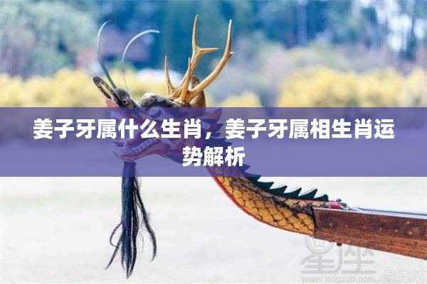 姜子牙生肖运势解析,揭秘属相运势特点与未来走向