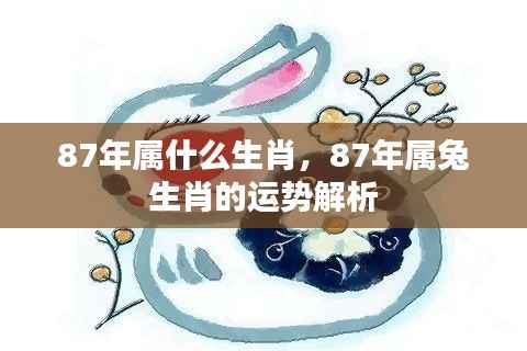 1987年属兔人的运势解析与生肖特征