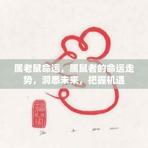 属鼠命运解析,洞悉未来走势,把握机遇挑战