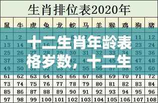 十二生肖年龄对照表,岁月流转下的属相与年龄神秘对应