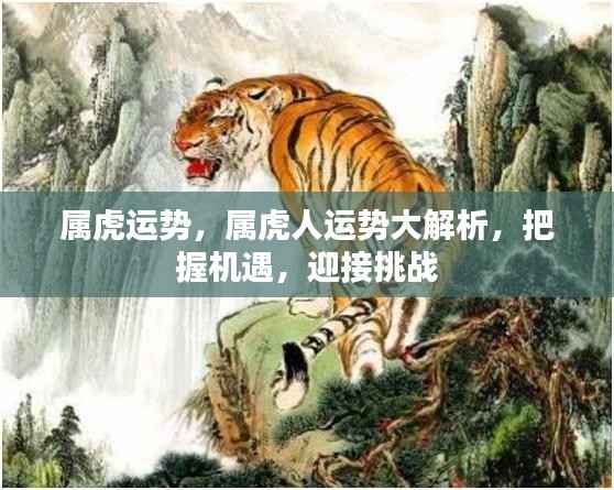 属虎人的运势解析与机遇挑战展望