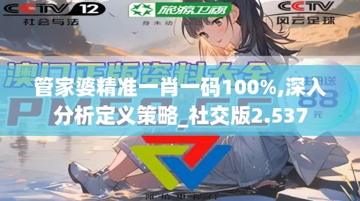 管家婆精准一肖一码100%,深入分析定义策略_社交版2.537