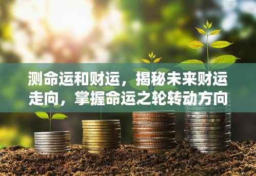 揭秘未来财运走向与命运轮转,掌握你的命运与财运动向