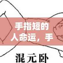 展翅欲飞 第4页