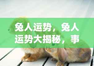 兔年运势大揭秘,事业腾飞,爱情甜蜜,兔人运势亨通