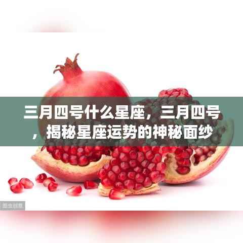 三月四号星座运势揭秘,探寻星座神秘面纱下的运势走向