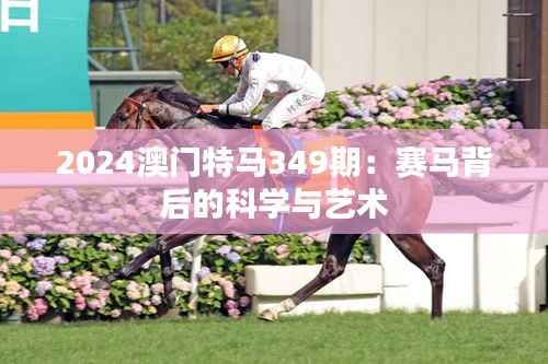 2024澳门特马349期:赛马背后的科学与艺术