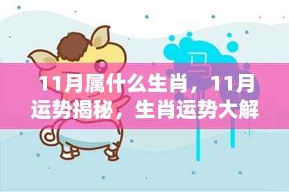 11月生肖运势揭秘与生肖运势大解析