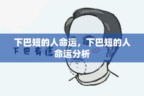 下巴短的人命运解析与探讨
