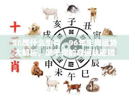 揭秘生肖运势，属鼠人的命运轨迹与运势大解析（1996年出生）
