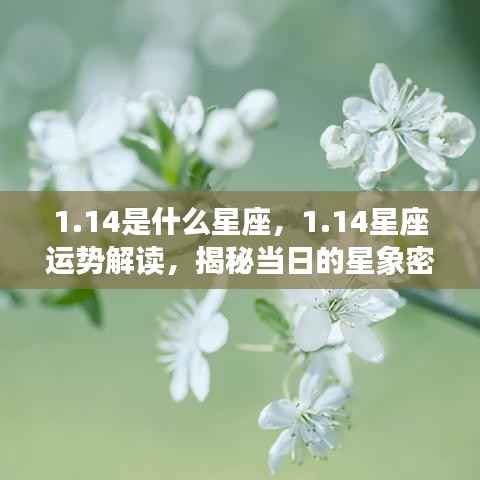 揭秘星座运势,1月14日的星象密码与星座运势解读