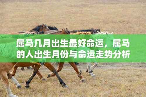 属马人的最佳出生月份与命运走势分析