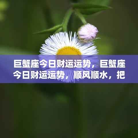 巨蟹座今日财运运势大爆发,把握机会顺风顺水!