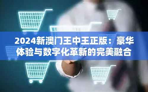 2024新澳门王中王正版:豪华体验与数字化革新的完美融合