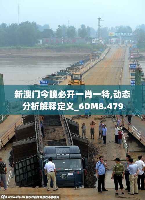 新澳门今晚必开一肖一特,动态分析解释定义_6DM8.479