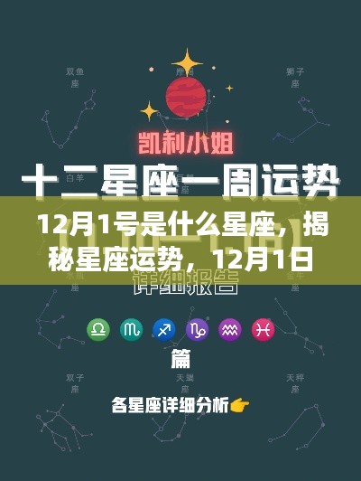 揭秘星座运势,12月1日的星座运势解析与预测