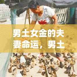 男土女金的夫妻命运,共筑稳定与辉煌的未来