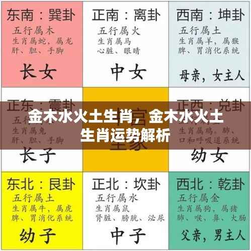 金木水火土生肖运势解析与特点概览