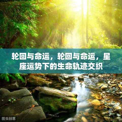 星座运势下的生命轨迹,轮回与命运的交织之路
