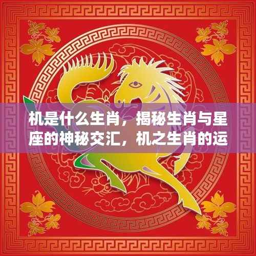 揭秘生肖与星座交汇之谜,机之生肖运势解析与神秘运势揭秘