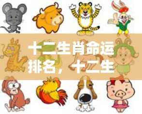 十二生肖命运排名详解,洞悉你的生肖运势走向