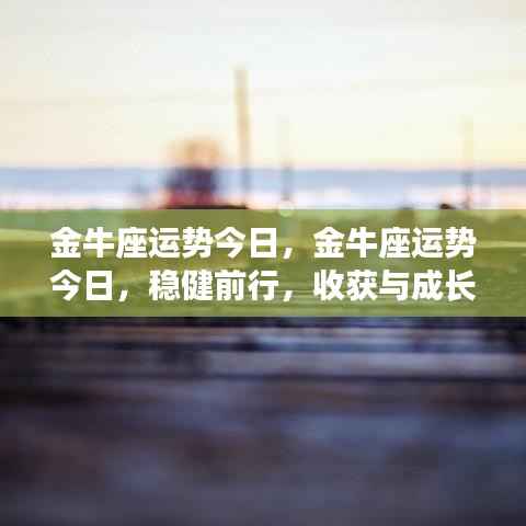 金牛座今日运势,稳健前行,收获与成长双丰收