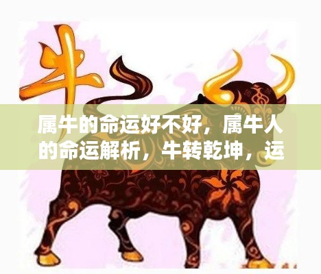 属牛人的命运详解,运势解析与牛转乾坤展望