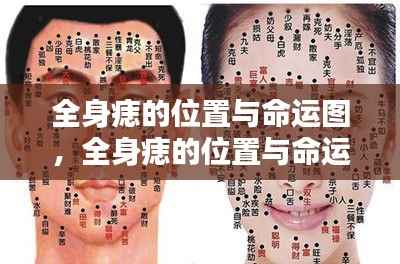 全身痣的位置与命运图,揭示星相秘密的独特印记,痣相学深度解析个人命运走向