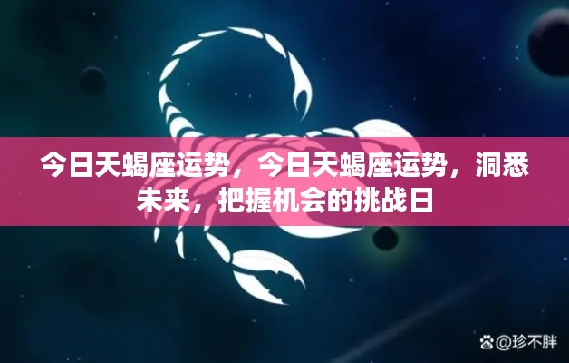 今日天蝎座运势揭秘,洞悉未来,挑战日把握机遇