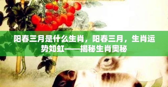 阳春三月生肖运势揭秘,揭秘生肖奥秘,如虹运势助你把握好运时刻