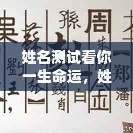 姓名测试揭秘一生运势与命运轨迹