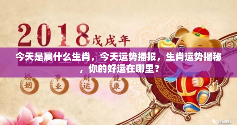 揭秘今日生肖运势，探寻你的幸运之源