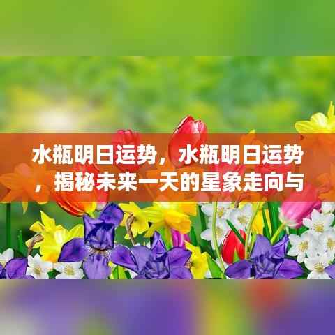 揭秘水瓶座的明日运势,星象走向与个性化建议明日运势预测