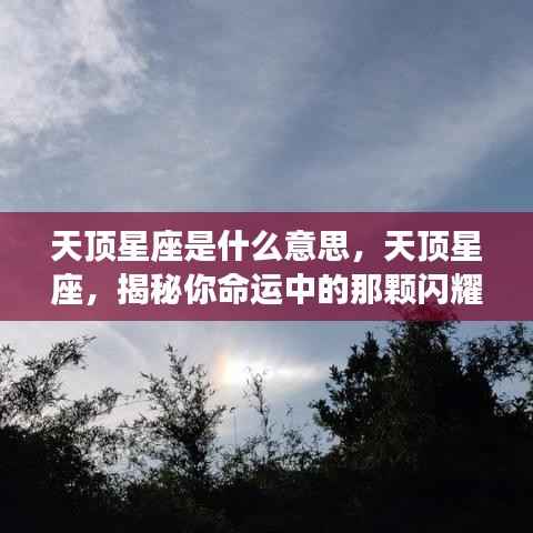 揭秘天顶星座,探寻命运中的闪耀之星意义及影响