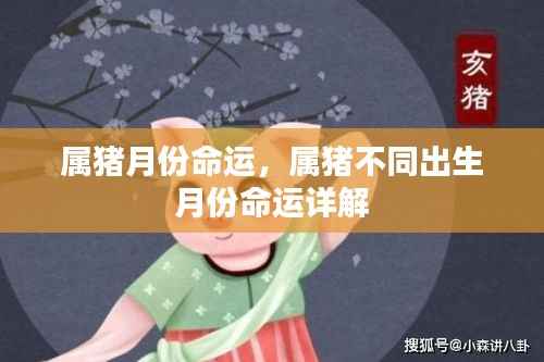 属猪不同出生月份命运详解,月份与命运的关联分析