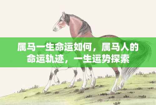 属马人的命运轨迹与一生运势探索,揭示一生起伏与机遇!