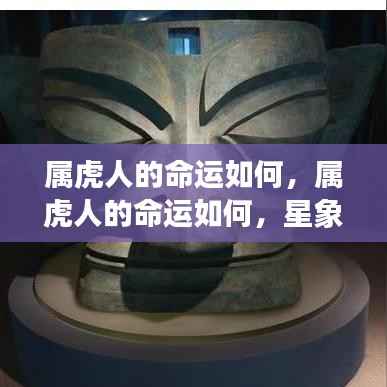 属虎人的命运走向,星象指引与人生轨迹探索