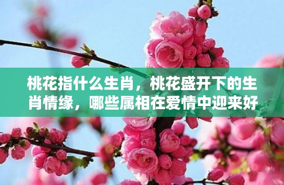 桃花盛开下的生肖情缘,哪些属相在爱情中迎来好运?