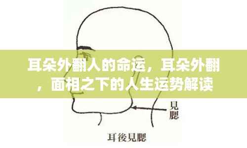 竭尽全力 第3页