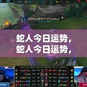 蛇人今日运势揭秘,把握机会,顺势而为,开启好运之门