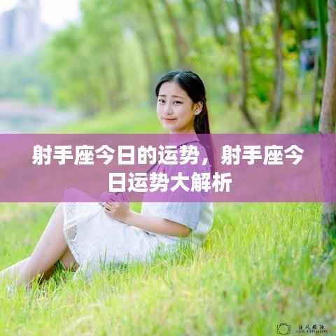 射手座今日运势全面解析