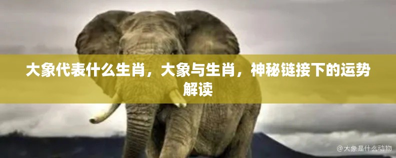 大象与生肖的神秘关联,解读运势,探寻吉祥象征的深层意义