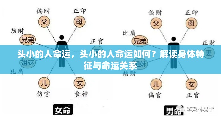 头小的人命运解析,身体特征与命运之间的联系探讨