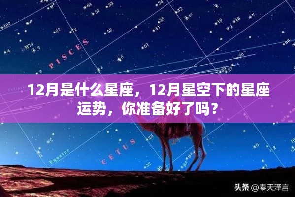 12月星座运势揭秘,星空下的星座运势指南