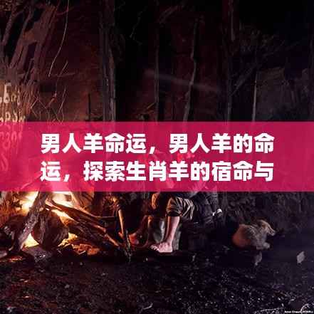 生肖羊男人的命运探索,宿命与成长之路