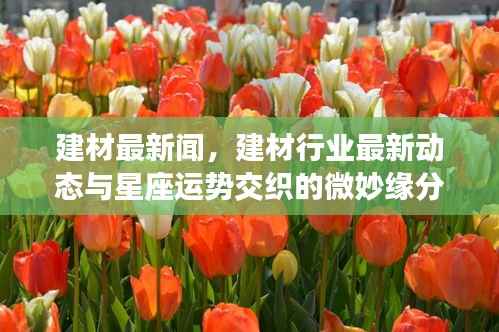 建材行业最新动态与星座运势的微妙交织新闻