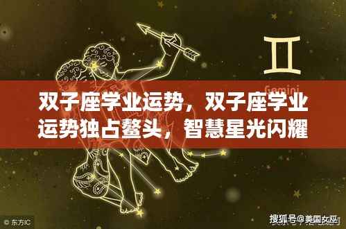 双子座学业运势大放异彩,智慧引领知识海洋,星光闪耀学业之巅